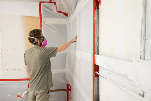 Best Attic Mold Removal  in Columbus, MT