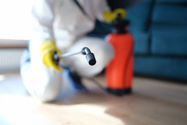Mold Documentation for Insurance Claims in Columbus, MT