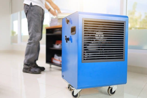 Best Indoor Air Quality Assessment  in Columbus, MT