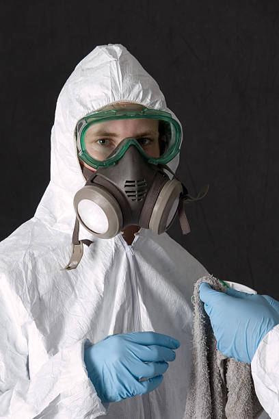 Best Water Damage & Mold Remediation  in Columbus, MT